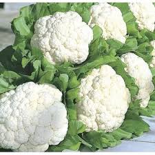 Product image for Cauliflower