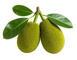 Product image for Jackfruit