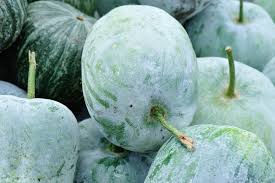 images &amp;#x28;28&amp;#x29;.jpg